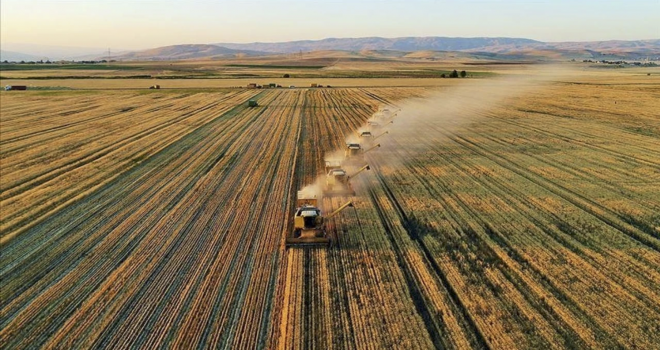 ’Tarımsal Destek’ler üretimi güvence altına alıyor