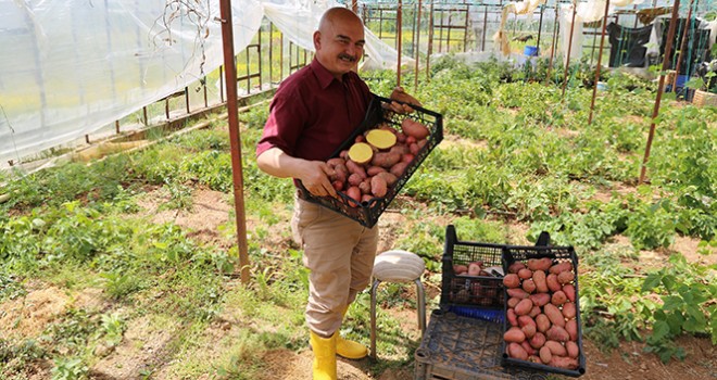 Annesi için ekti, fiyatı ve ilgiyi görünce üretime yöneldi