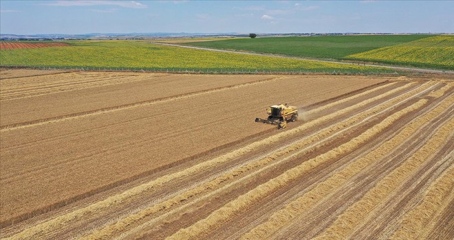 İşlenmeyen tarım arazileri için ’tespit komisyonu’ oluşturulacak